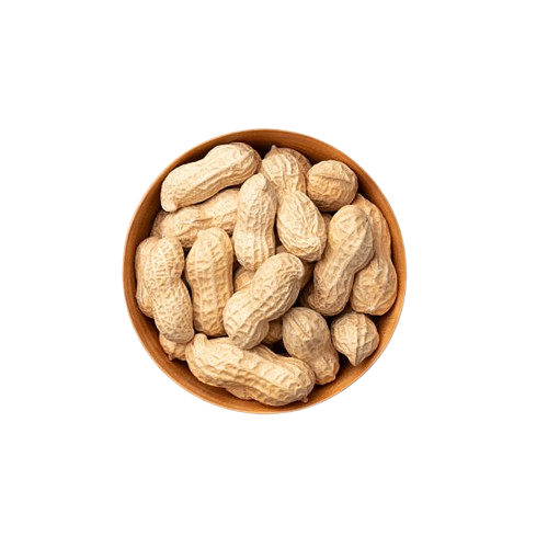 gettyimages-2243238825-612x612-removebg-preview