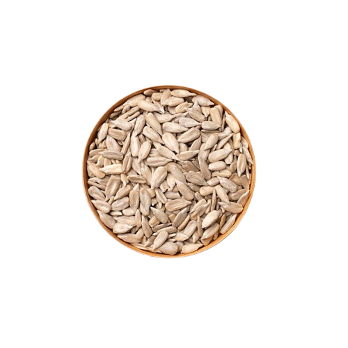 gettyimages-2233012905-612x612-removebg-preview (1)