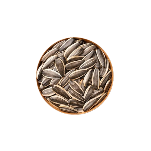 gettyimages-2243238772-612x612-removebg-preview